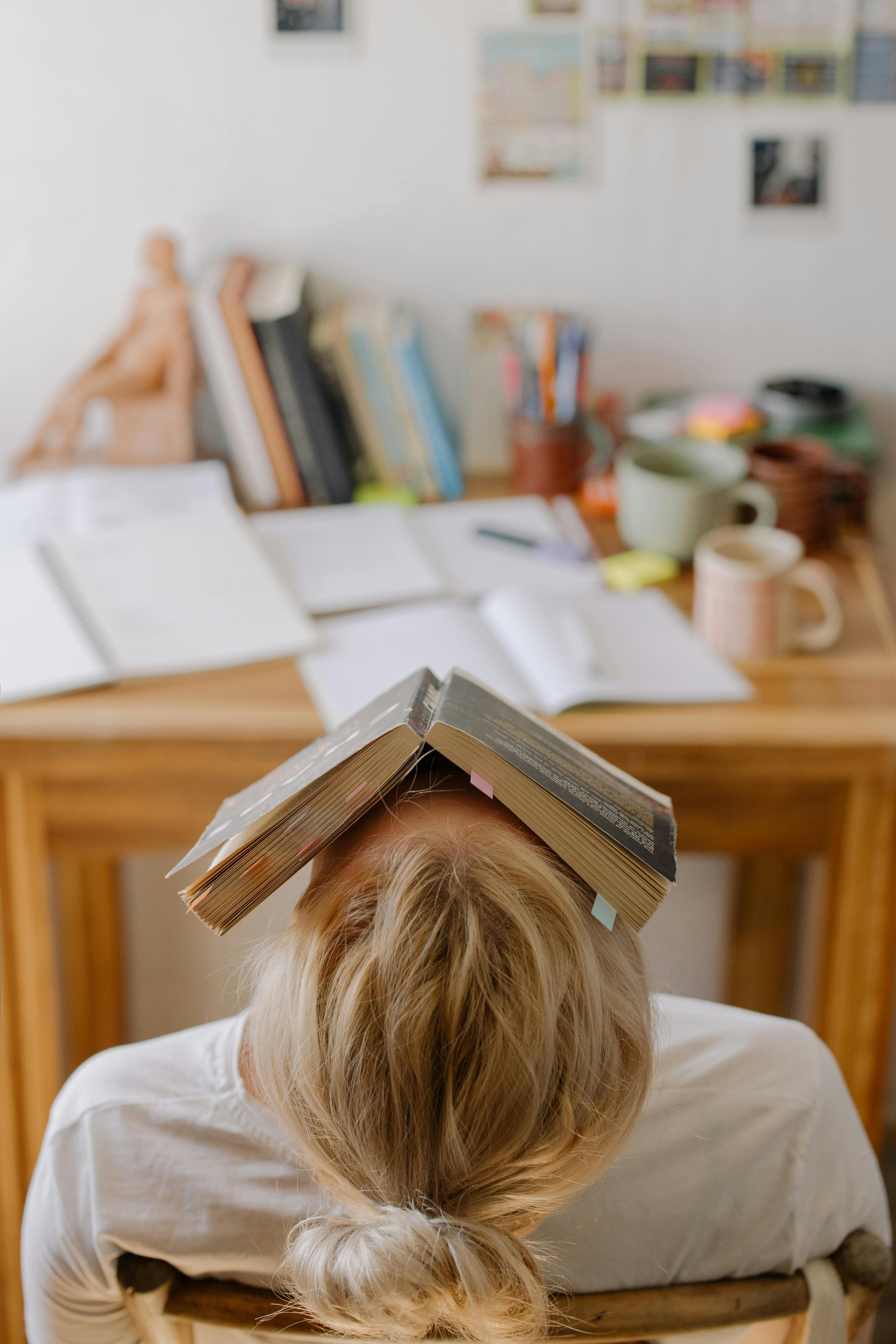 Frustrated Learner
